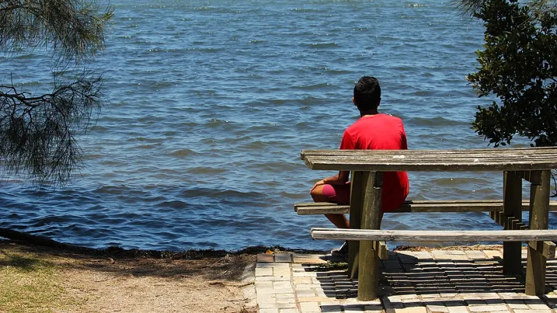 Fifteen Minutes of Nothing: We Watched America Avoid Stillness in the Wild